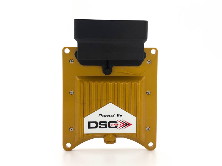 Mustang – DSC Sport